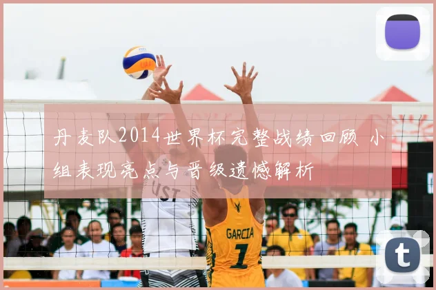 丹麦队2014世界杯完整战绩回顾 小组表现亮点与晋级遗憾解析