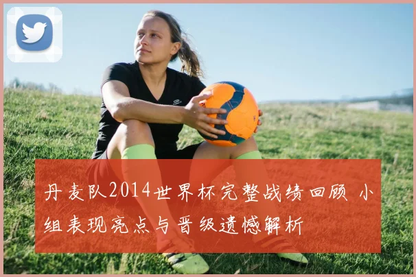 丹麦队2014世界杯完整战绩回顾 小组表现亮点与晋级遗憾解析