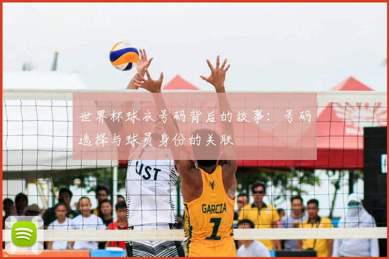 世界杯球衣号码背后的故事:号码选择与球员身份的关联
