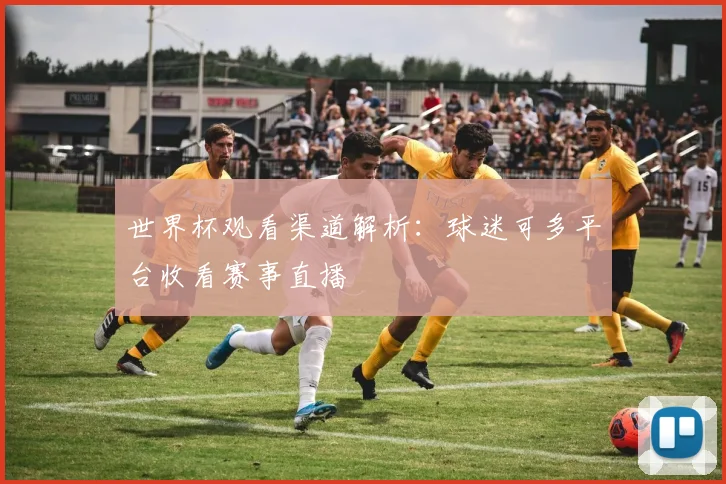 世界杯观看渠道解析：球迷可多平台收看赛事直播