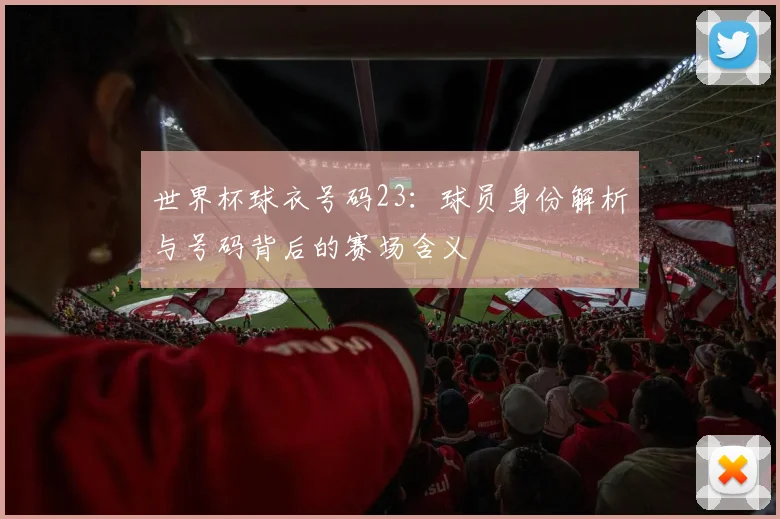 世界杯球衣号码23:球员身份解析与号码背后的赛场含义
