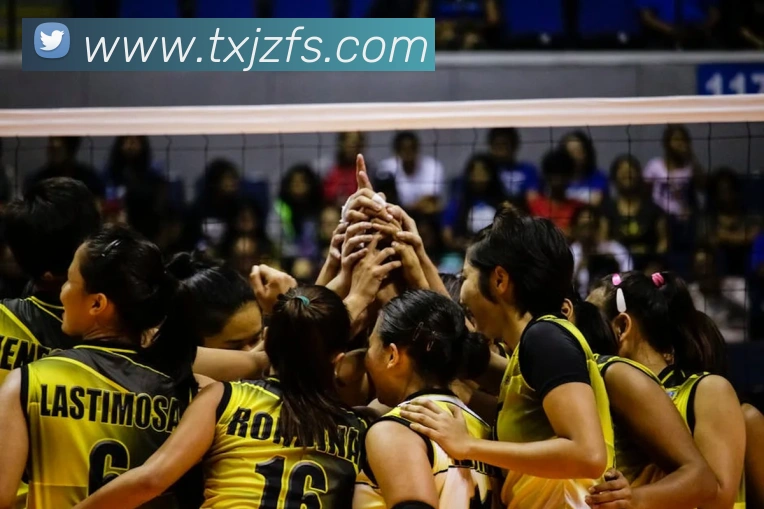 巅峰国际pg登录入口平台生态图