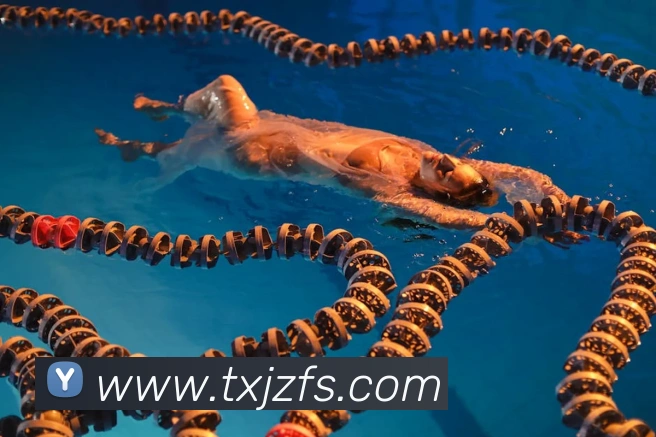 巅峰国际pg登录入口全站App 巅峰国际pg登录入口全站App